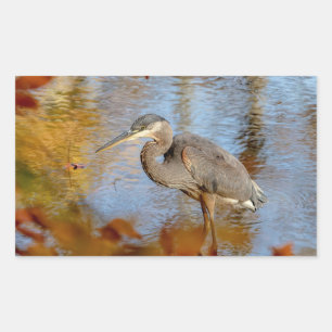 Great Blue Heron framed with fall foliage Sticker
