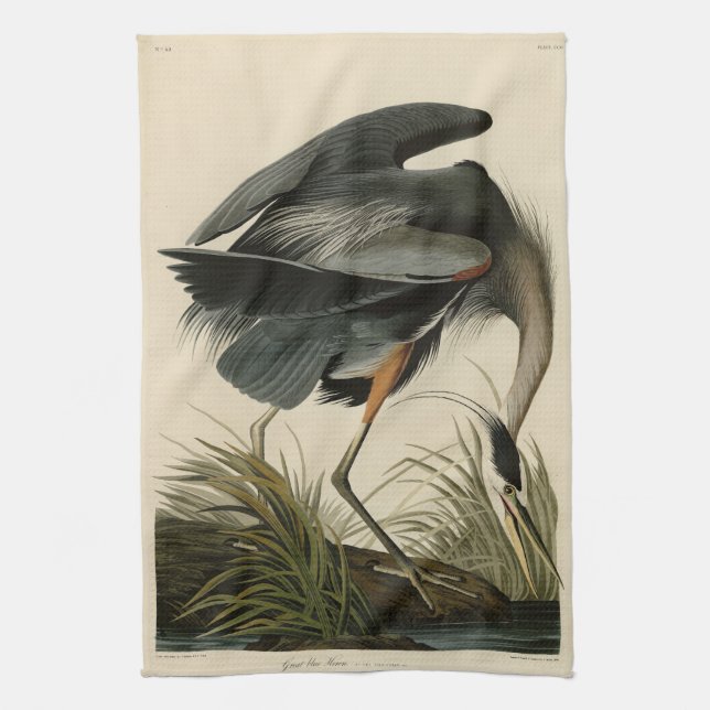 Great Blue Heron from Audubon's Birds of America Kitchen Towel (Vertical)