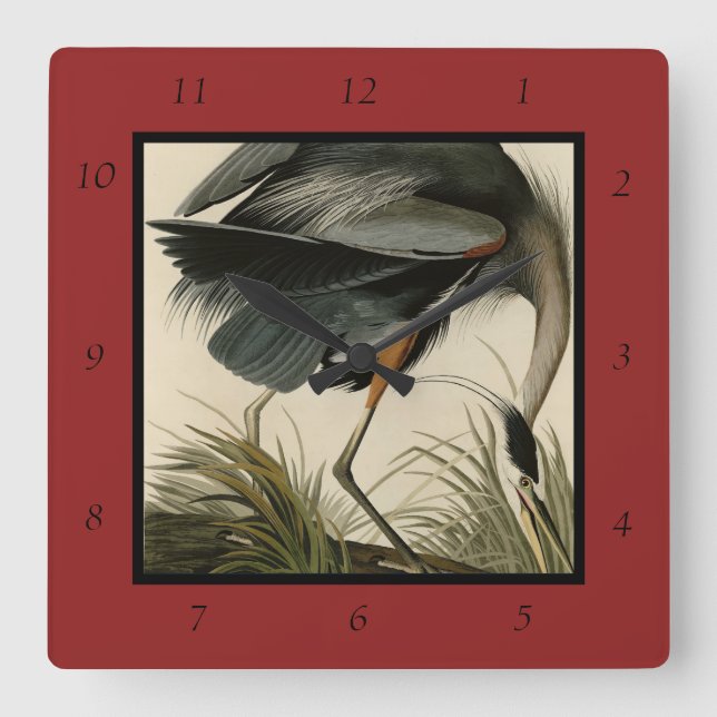 Great Blue Heron from Audubon's Birds of America Square Wall Clock (Front)