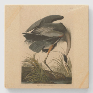 Great Blue Heron from Audubon's Birds of America Stone Coaster