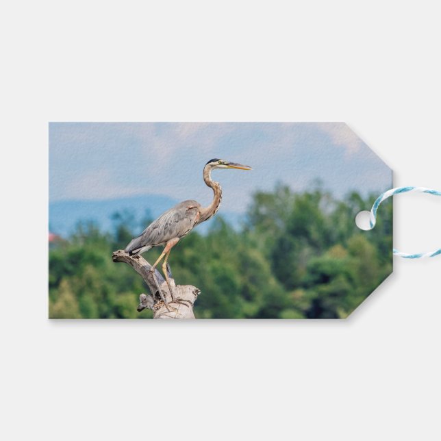 Great Blue Heron Gift Tags (Front (Horizontal))