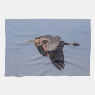Great Blue Heron in flight Kitchen Towel