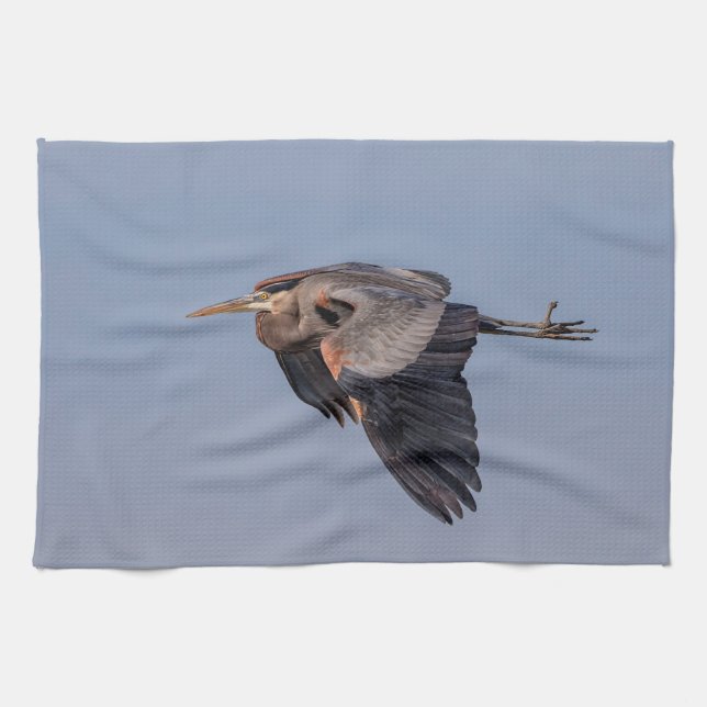 Great Blue Heron in flight Kitchen Towel (Horizontal)
