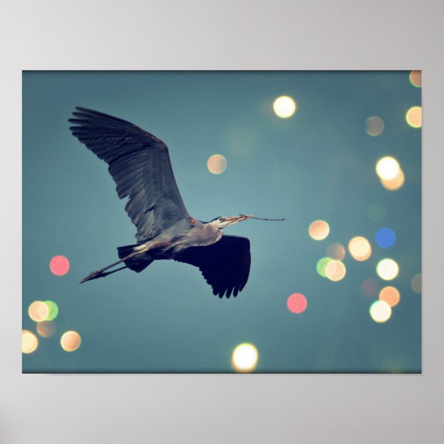 Great Blue Heron In Flight  Poster (Front)