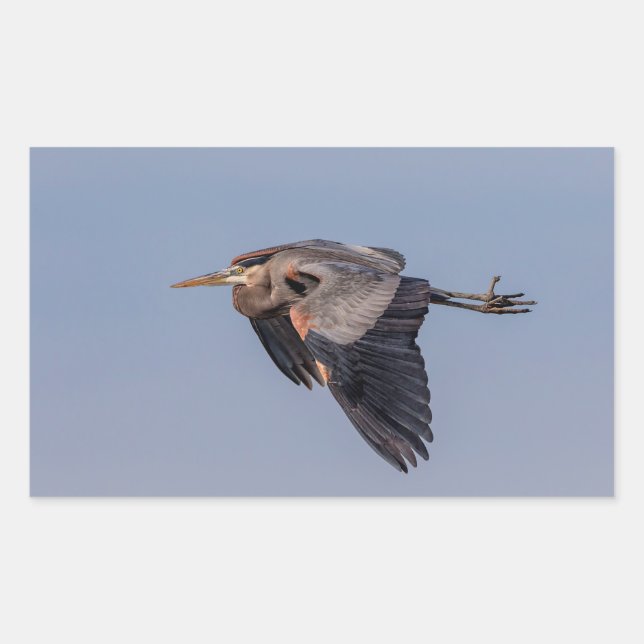 Great Blue Heron in flight Sticker (Front)