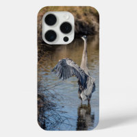 Great Blue Heron in Lake