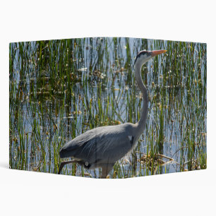 Great Blue Heron in Marsh Binder