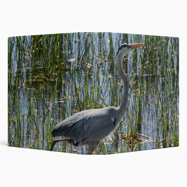 Great Blue Heron in Marsh Binder (Background)