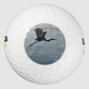 Great Blue Heron in Naples, FL Golf Balls