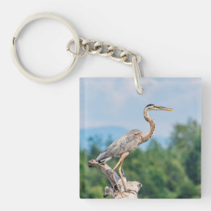Great Blue Heron Keychain