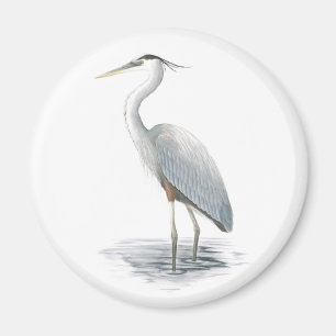 Great Blue Heron Magnet