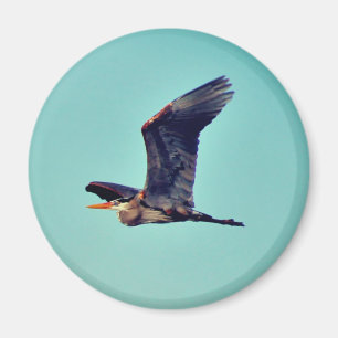 Great Blue Heron Magnet