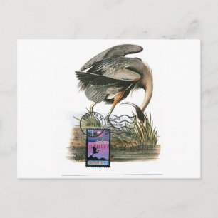 Great Blue Heron maximum card Audubon