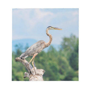 Great Blue Heron Notepad