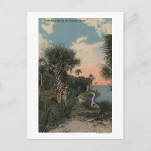 Great Blue Heron on Florida Coast Beach Postcard