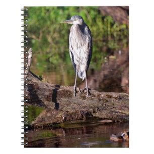 Great Blue Heron on Log Photo Notebook Journal