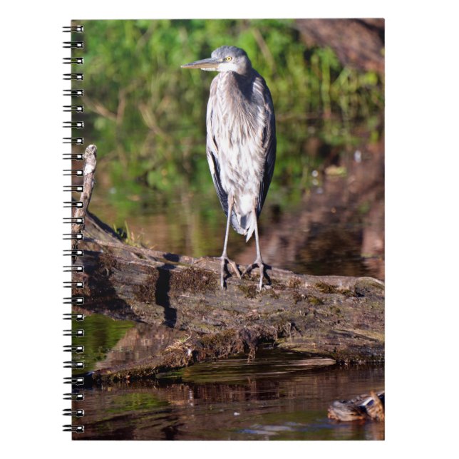 Great Blue Heron on Log Photo Notebook Journal (Front)