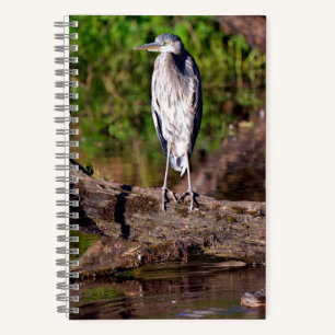 Great Blue Heron on Log Photo Notebook Journal
