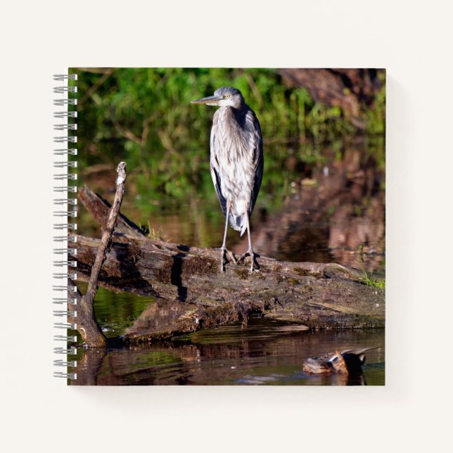 Great Blue Heron on Log Photo Notebook Journal (Front)