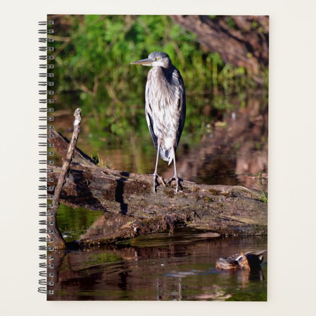 Great Blue Heron on Log Photo Planner (Front)