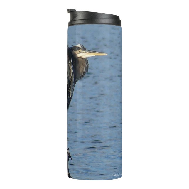 Great Blue Heron on Tree Limb Thermal Tumbler (Rotated Right)