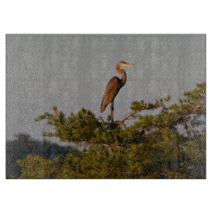 Great Blue Heron On Tree Top Cutting Board