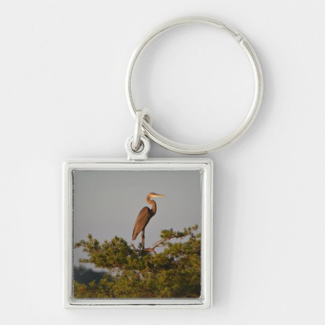 Great Blue Heron On Tree Top Keychain (Front)