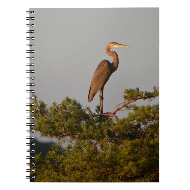 Great Blue Heron On Tree Top Notebook (Front)