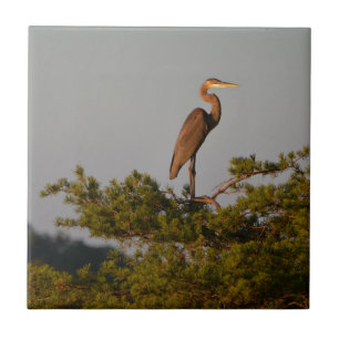 Great Blue Heron On Tree Top Tile