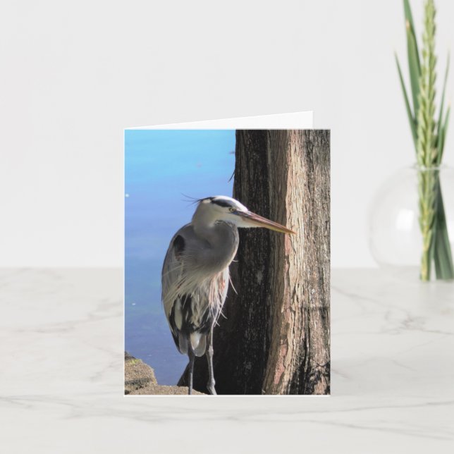 Great Blue Heron Photo Blank Note Card (Front)