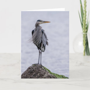 Great Blue Heron Pose Thank You Card