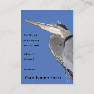 Great Blue Heron Profile Card