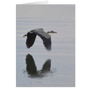 Great Blue Heron Reflected -Frameable Art Card
