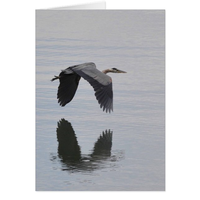 Great Blue Heron Reflected -Frameable Art Card (Front)