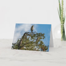 Great Blue Heron Roost Carte de remerciements