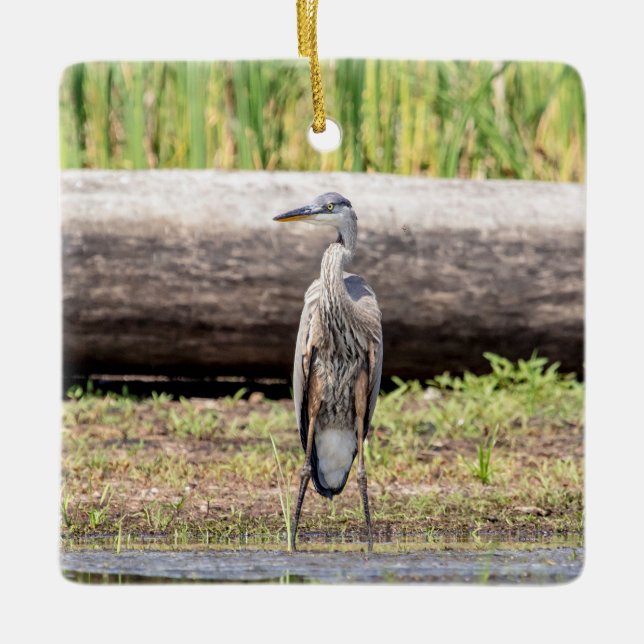 Great Blue Heron standing in Lake Champlain Ceramic Ornament (Front)