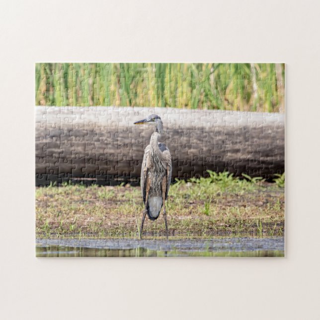 Great Blue Heron standing in Lake Champlain Jigsaw Puzzle (Horizontal)