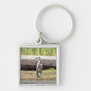 Great Blue Heron standing in Lake Champlain Keychain