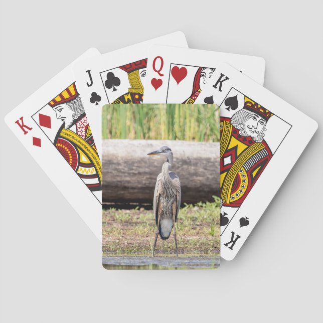 Great Blue Heron standing in Lake Champlain Playing Cards (Back)