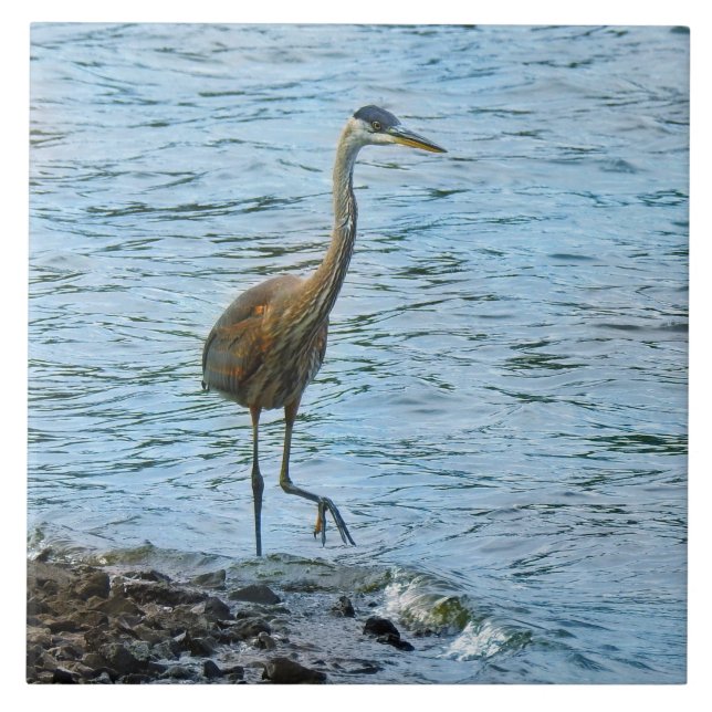 Great Blue Heron Standing in the Water Tile (Front)