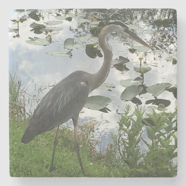 Great Blue Heron Stone Coaster (Front)
