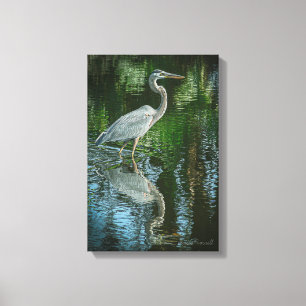 "Great Blue Heron" Stretched Canvas Print