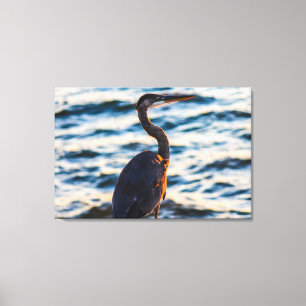 Great Blue Heron Sunset Vibe Canvas Print