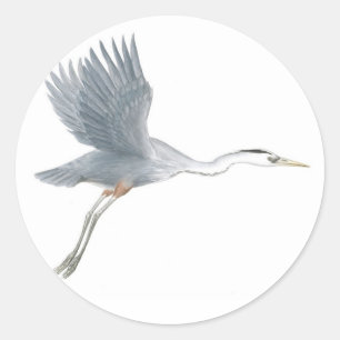 Great Blue Heron Taking Off Sticker