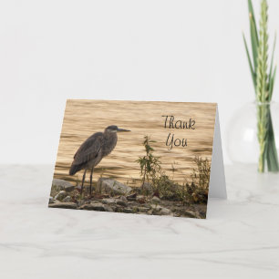 Great Blue Heron Thank You Card