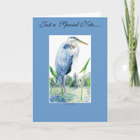 Great Blue Heron