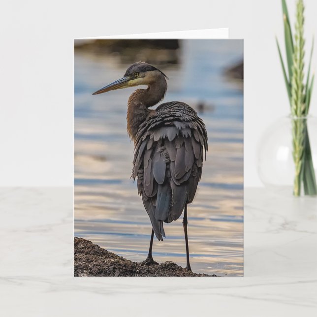 Great Blue Heron Thank You Card (Front)
