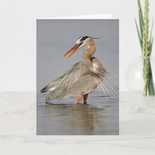Great Blue Heron Twisting Folding Greeting Card