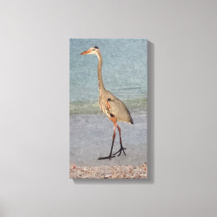 Great Blue Heron Watercolor Canvas Print