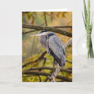 Great Blue Heron with Fall Colours Greeting Card